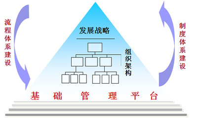 中天华溥 专业化组织管理咨询赋能企业高效运营